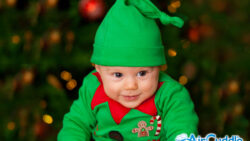 L’Elfo e il Natale